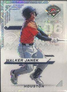 Walker Janek