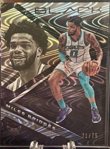 Miles Bridges [Silver] #20
