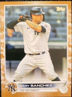 Gary Sanchez