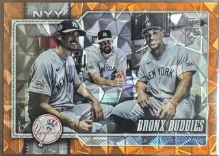 Bronx Buddies