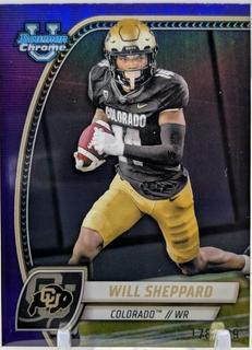 Will Sheppard
