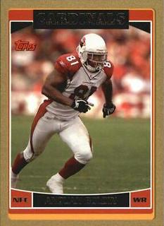 Anquan Boldin