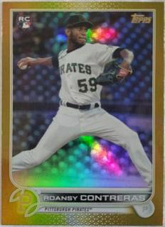 Roansy Contreras