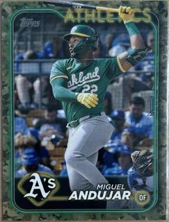 Miguel Andujar