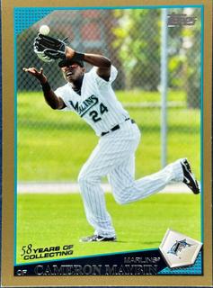 Cameron Maybin