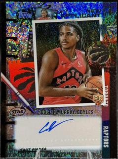 Collin Murray-Boyles