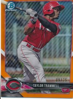 Taylor Trammell
