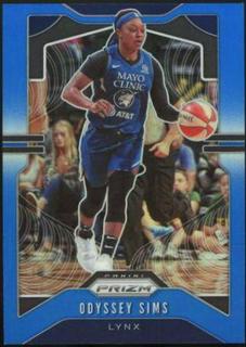 Odyssey Sims
