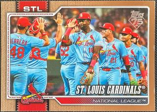 Team Card