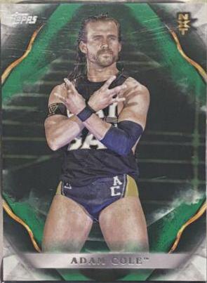 Adam Cole #76 Wrestling Cards 2019 Topps WWE Undisputed