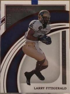 Larry Fitzgerald