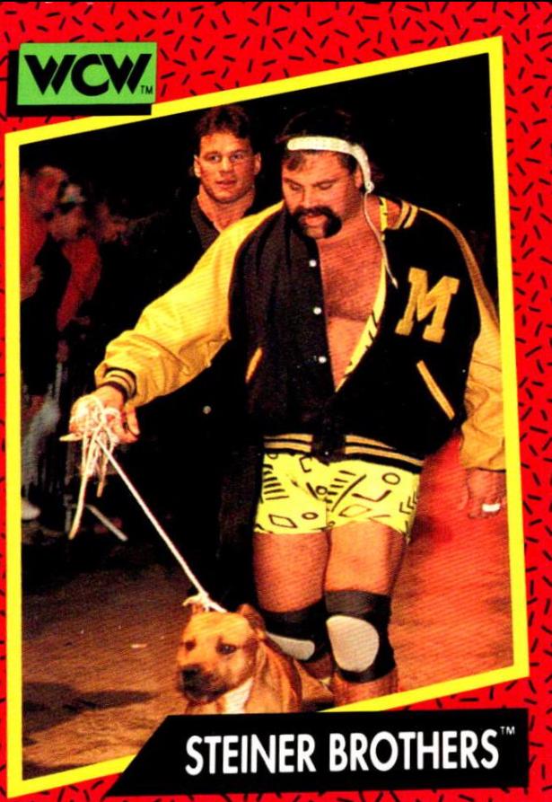 Steiner Brothers #103 Wrestling Cards 1991 Impel WCW