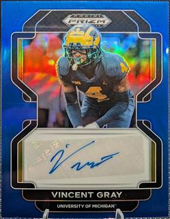 Vincent Gray