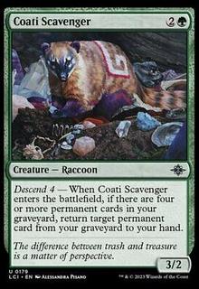 Coati Scavenger