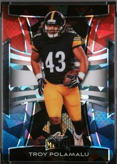 Troy Polamalu