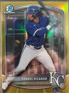 Yandel Ricardo
