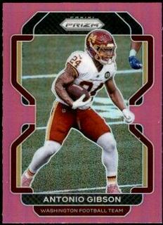 Antonio Gibson
