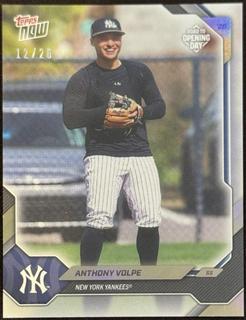 Anthony Volpe