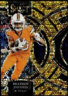 Brandon Johnson