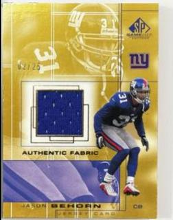 Jason Sehorn