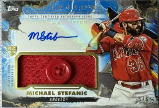 Michael Stefanic