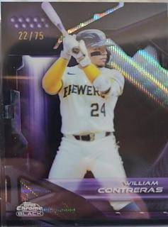 William Contreras