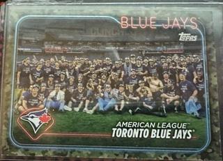 Toronto Blue Jays