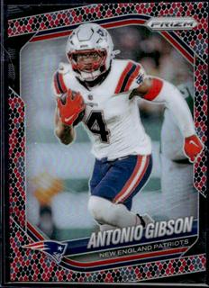 Antonio Gibson