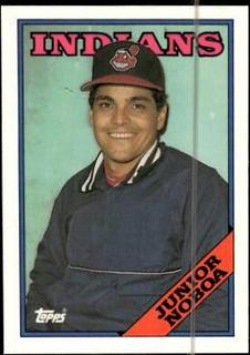 Junior Noboa