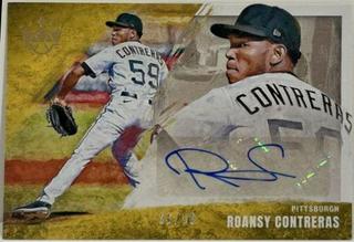 Roansy Contreras