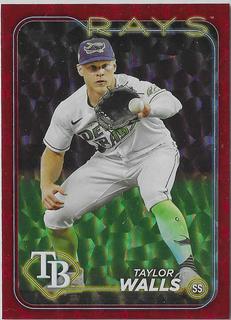 Taylor Walls