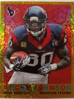 Andre Johnson