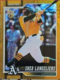 Shea Langeliers