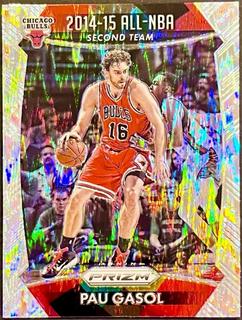 Pau Gasol