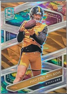 Payton Wilson