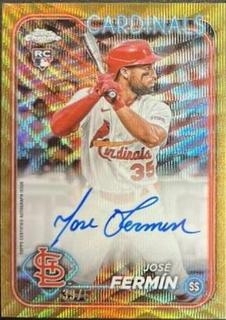 Jose Fermin