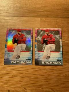 Sam Bachman