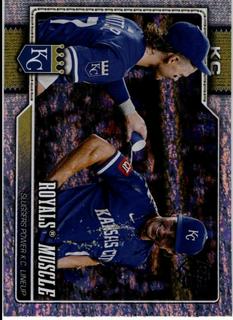 Royals Muscle