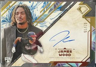 James Wood