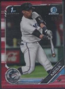 Victor Robles