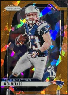 Wes Welker