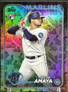 Jacob Amaya