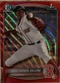 Sadbiel Delzine