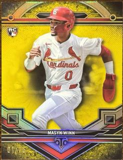 Masyn Winn