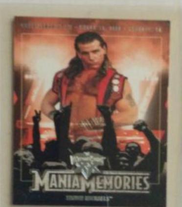 Shawn Michaels #77 Wrestling Cards 2004 Fleer WWE WrestleMania XX