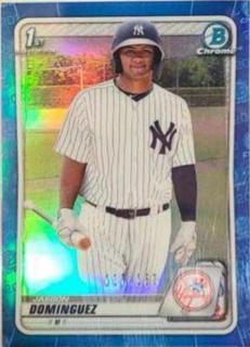 Jasson Dominguez