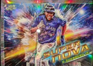 Vladimir Guerrero Jr.