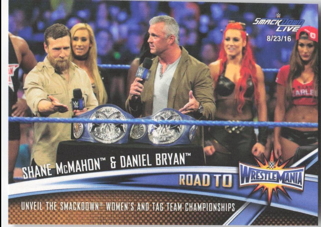 Shane McMahon, Daniel Bryan #RTW-15 Wrestling Cards 2017 Topps WWE Road To Wrestlemania 33