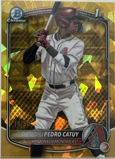 Pedro Catuy