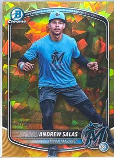 Andrew Salas